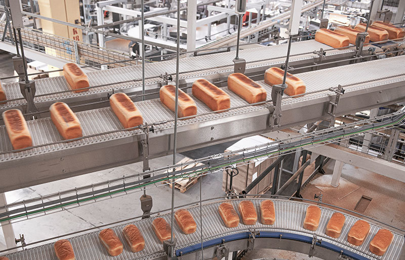 FLEXLINK CELEBRATES FOUR SUCCESSFUL DECADES OF MATERIAL FLOW SOLUTIONS ...