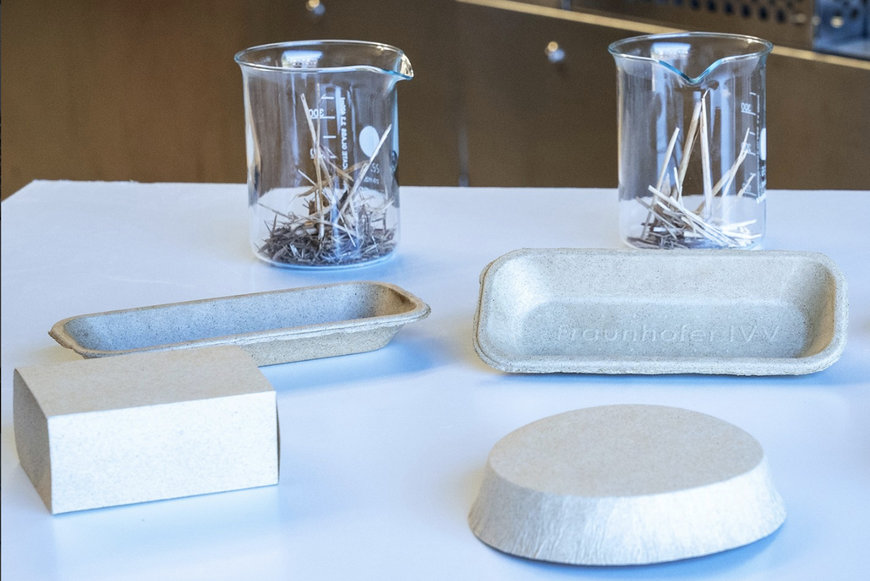 Sustainable Packaging from Peatland Plants