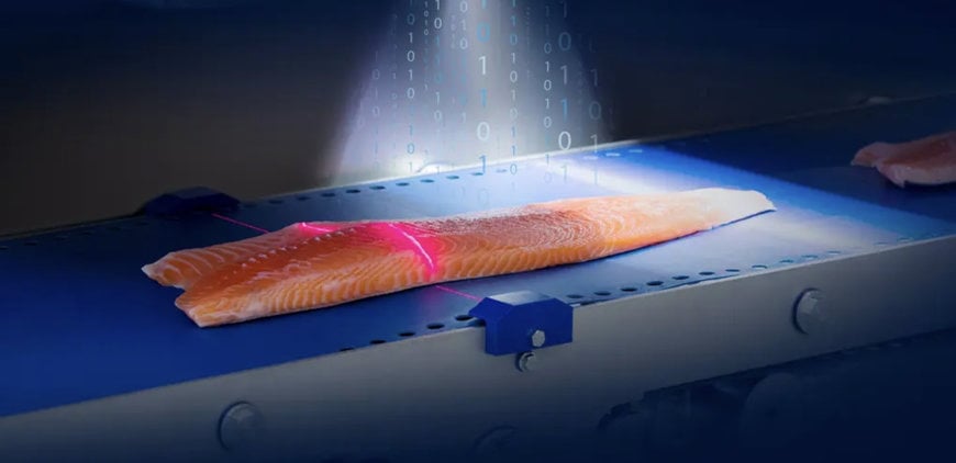 5 Tech Innovations by Marel that reshaped salmon processing in 2025