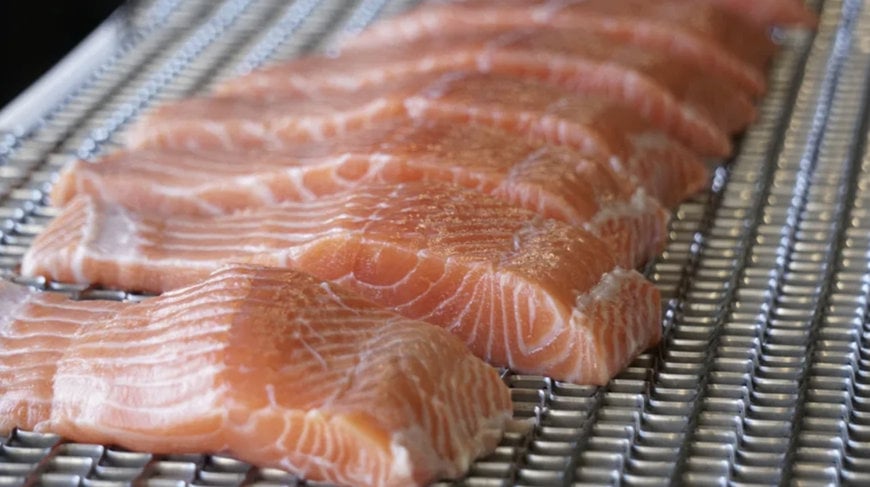 5&nbsp;Tech Innovations by Marel that reshaped salmon processing in 2025