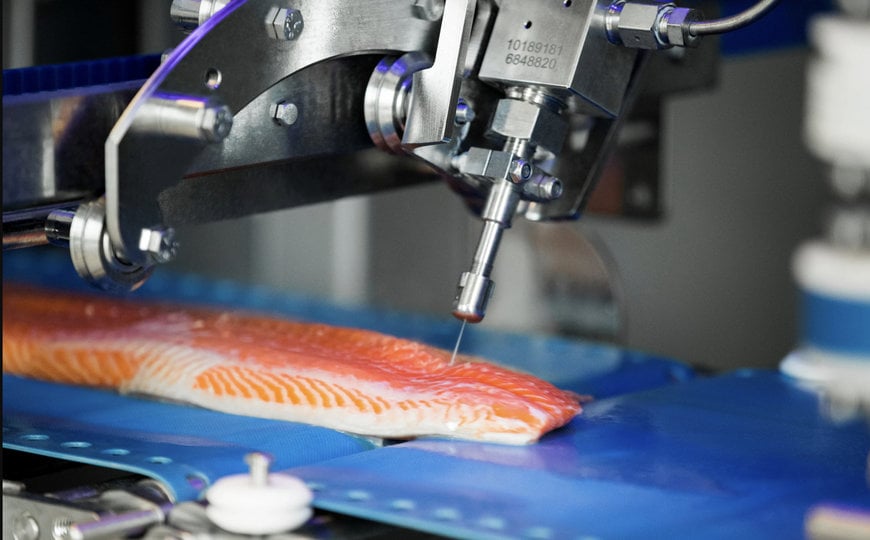 5&nbsp;Tech Innovations by Marel that reshaped salmon processing in 2025