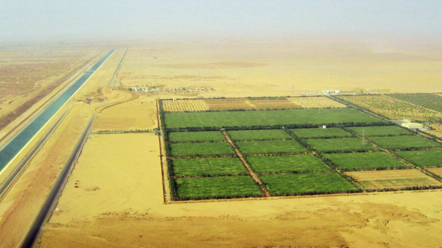 Farmlandgrab about The mirage of food security: Big farming in North Africa's deserts