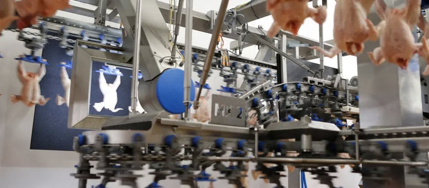 Marel combines cutting-edge technology with butchery skills