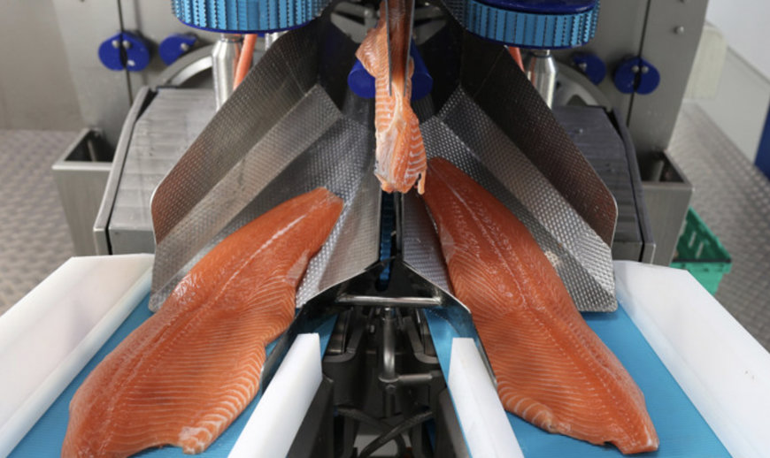 Marel at Seafood Expo North America 2025