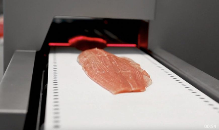 Marel at Seafood Expo North America 2025