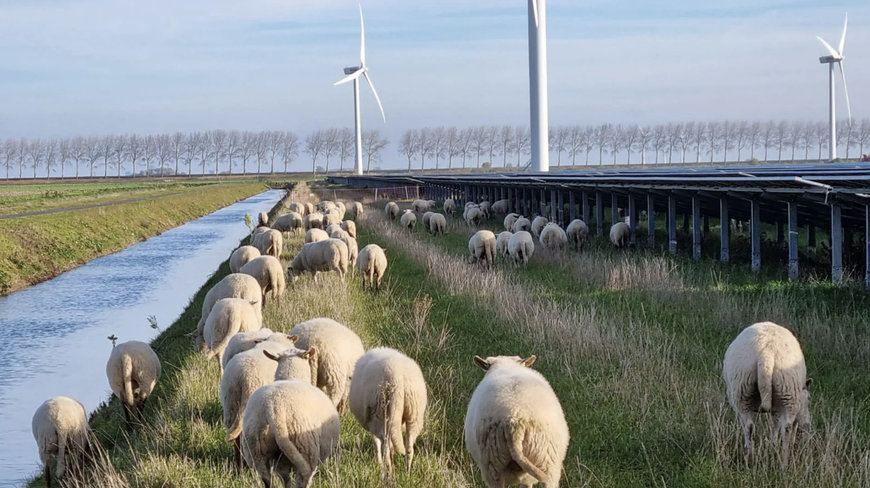 Germany, a hot spot for solar farming