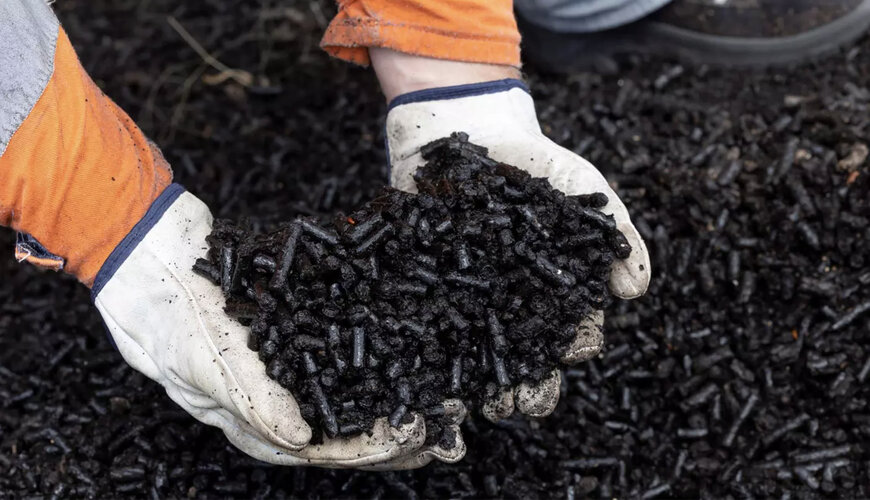 Genesis, Foresta sign biomass supply negotiation