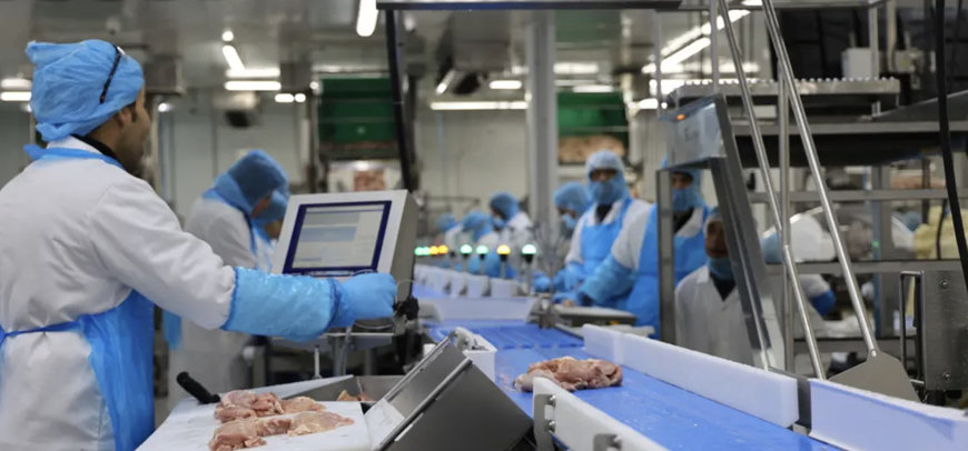 Central Bernard boosts throughput with Marel solutions