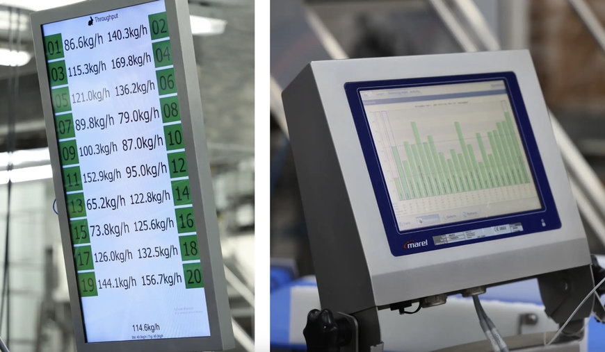 Central Bernard boosts throughput with Marel solutions