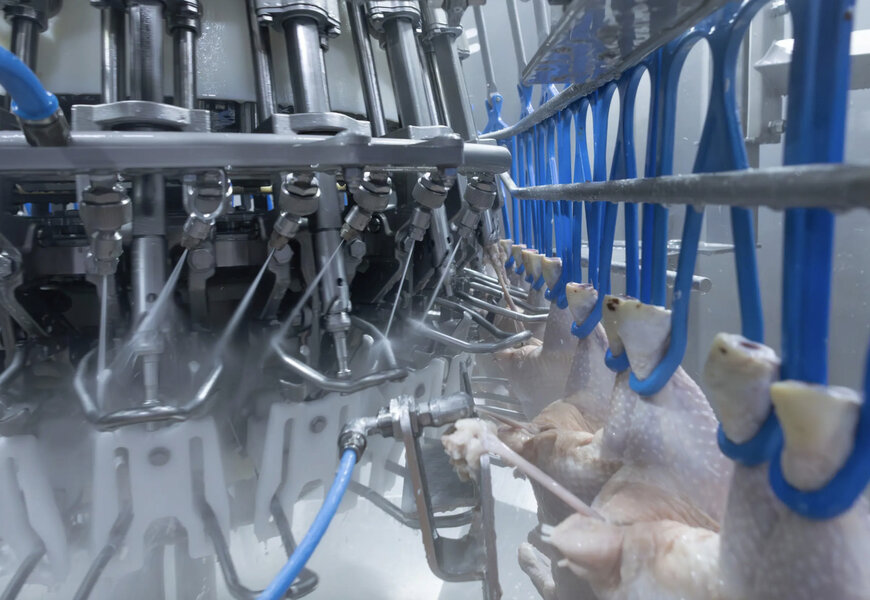 Marel answers 8 key questions to understand vent cutting