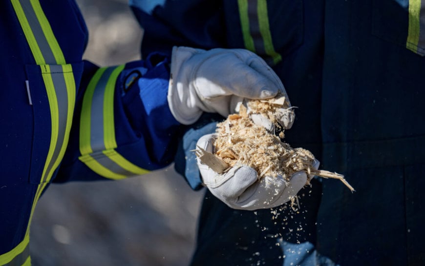 Drax launches enhanced approach to global sustainability