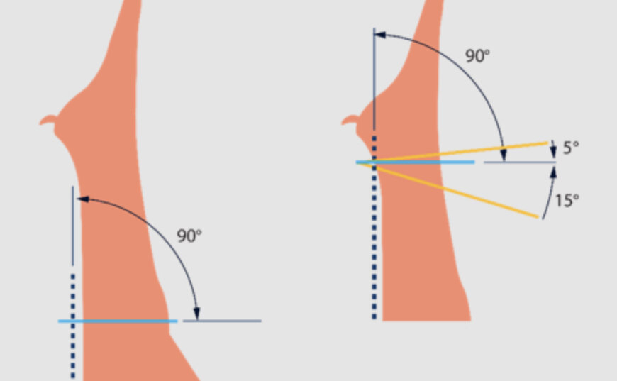 Marel simplifies primal cutting with vertical precision