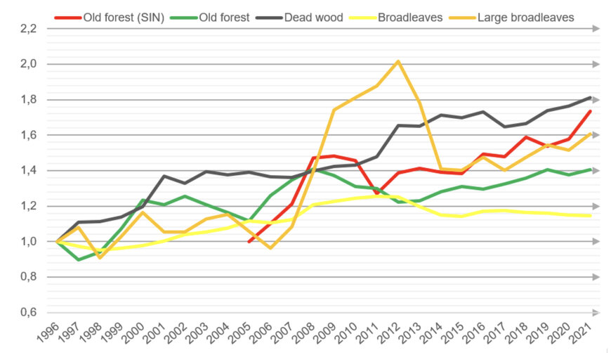 Holmen launches biodiversity indicators