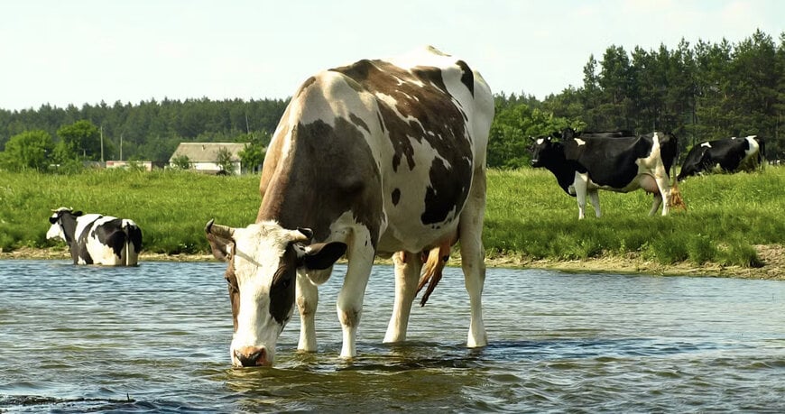 LG Sonic explains How Algae-Free Waterbodies Boost Agricultural Productivity