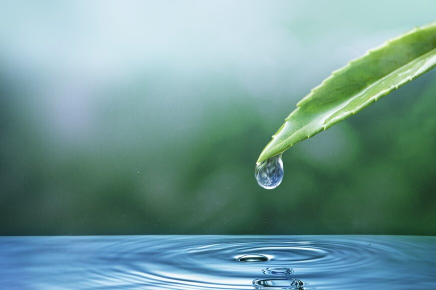 KETOS' SHIELD automates real-time water quality monitoring