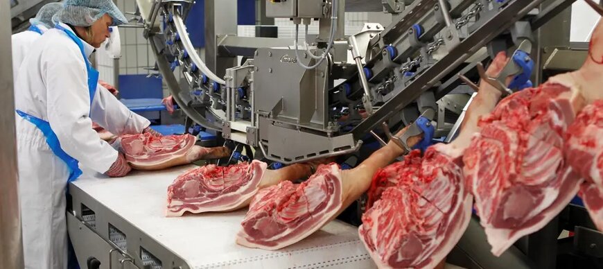 Marel’s Three-Point Plan for Smarter Pork Processing