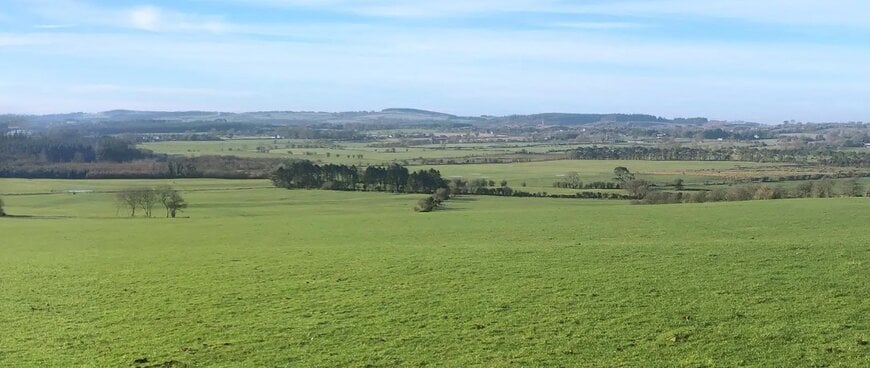 Neoen launches construction of Threecastles solar farm in County Wicklow