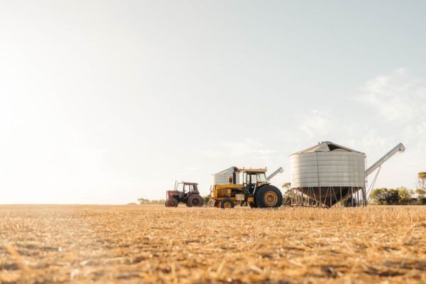 Clear Grain Exchange launches igrainX for grain stored on-farm, reports Elders