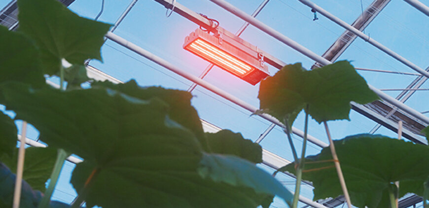 Panasonic and Red Horticulture Partner for Advanced Farming Solutions