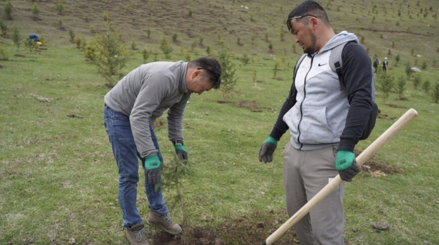 Kyrgyzstan to plant 10 million trees in Issyk-Kul via carbon credit initiative, reports Farmlandgrab