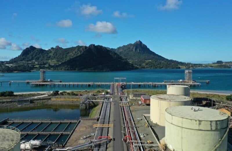 Biofuels key to food security and shipping resilience for NZ