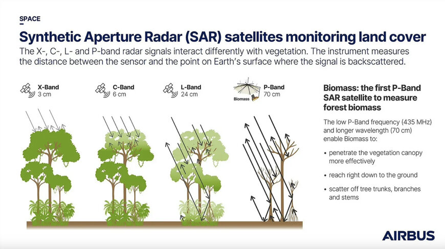 Airbus built forest monitoring satellite Biomass successfully launched