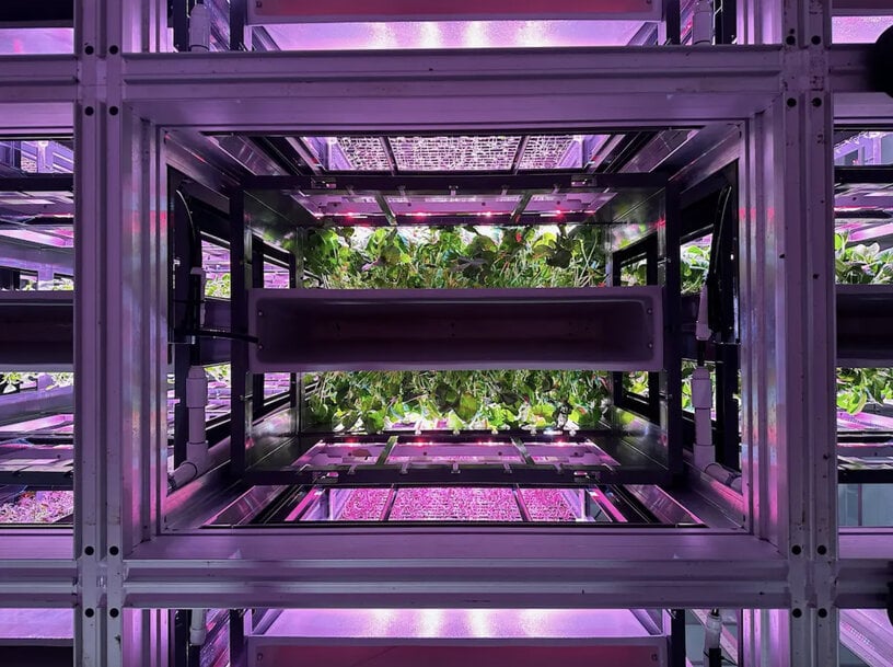 AutoStore Tech Powers Next-Gen Robotic Vertical Farm