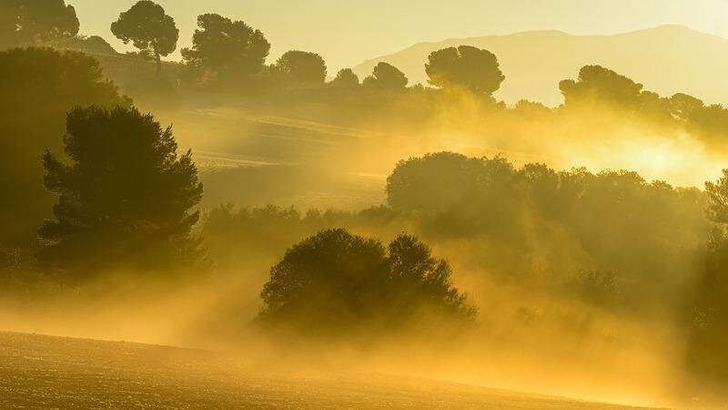 Vaisala Joins Research to Tackle Agricultural Emissions