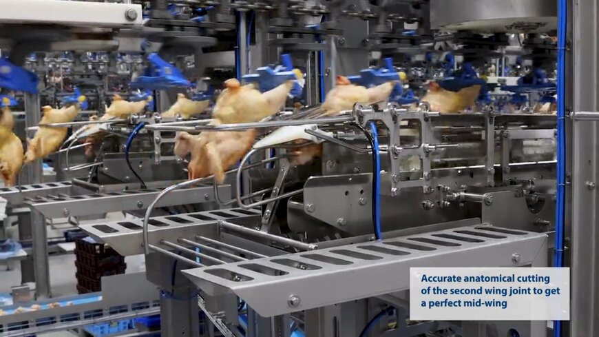 Marel's Q-Wing Boosts Hubers Chicken Wing Yield