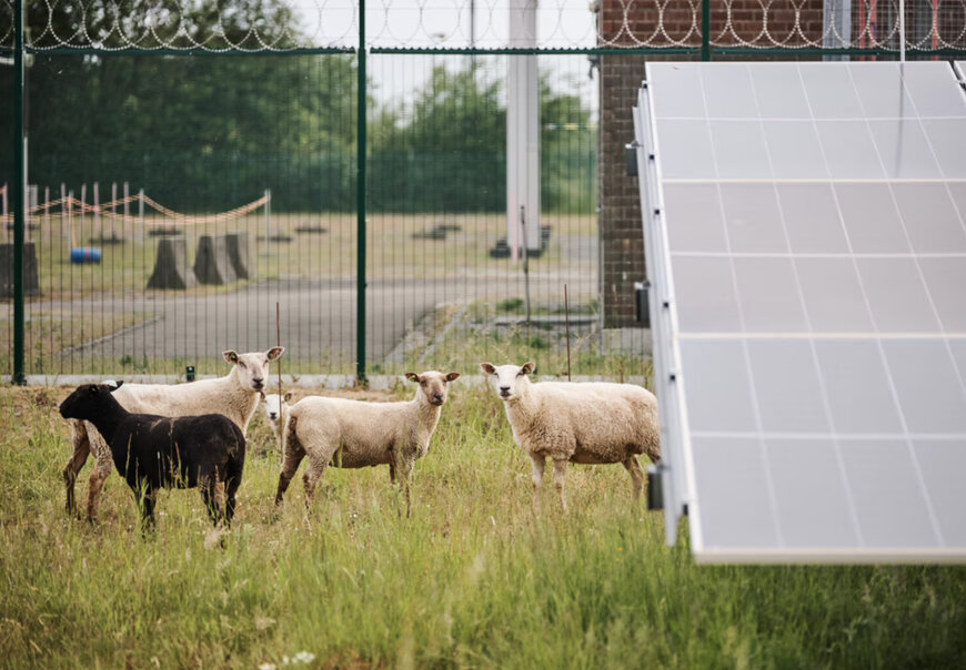 Infrabel: La ligne à grande vitesse « Louvain - Liège » alimentée par l'énergie solaire