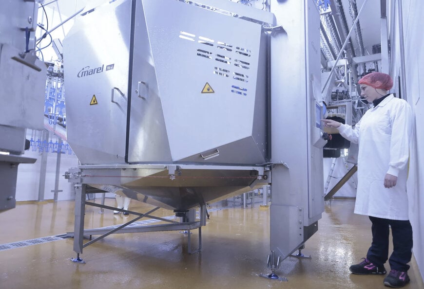 Marel: VC-i - La première Coupeuse de Cloaques intelligente au monde