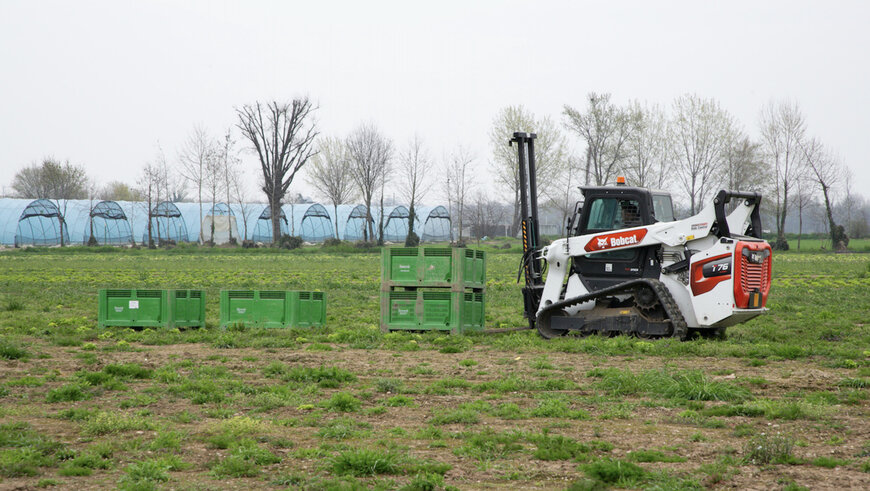 Bobcat T76 Compact Track Loader Boosts Efficiency for Italy's Premier Vegetable Producer