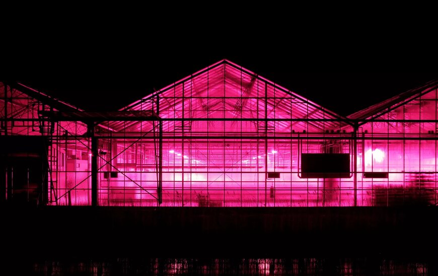 GreenTech 2025: Pflanzenbau neu gedacht &ndash; mit Licht, Intelligenz und Innovation