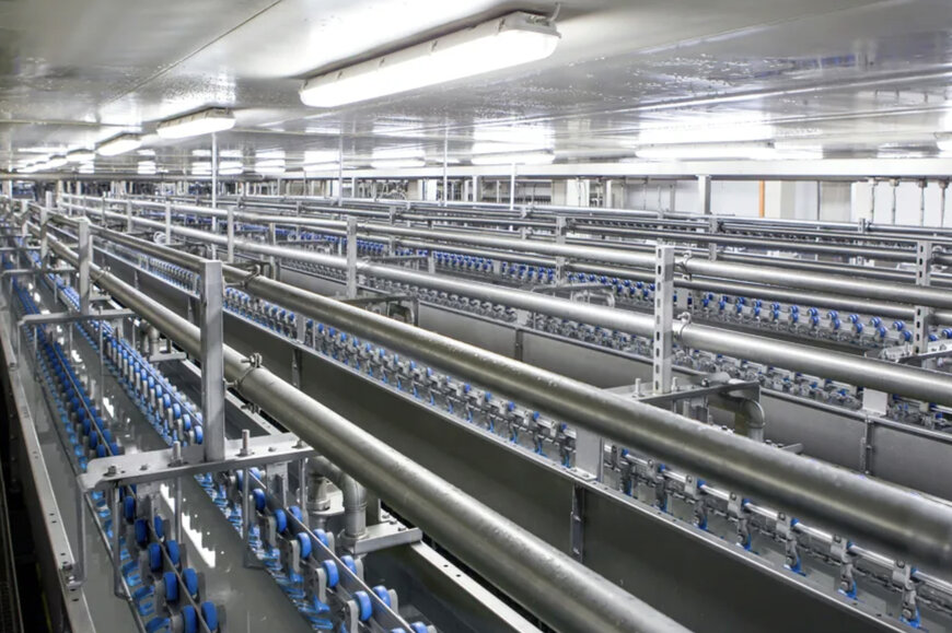 Marel to equip Australia’s top poultry plant with full inline automation