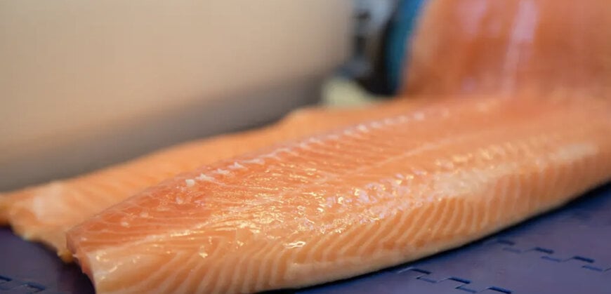 Industry-proven reliability meets affordable entry-level filleting solution by Marel