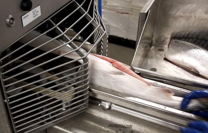 Industry-proven reliability meets affordable entry-level filleting solution by Marel