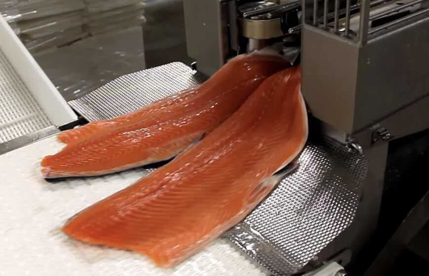 Industry-proven reliability meets affordable entry-level filleting solution by Marel