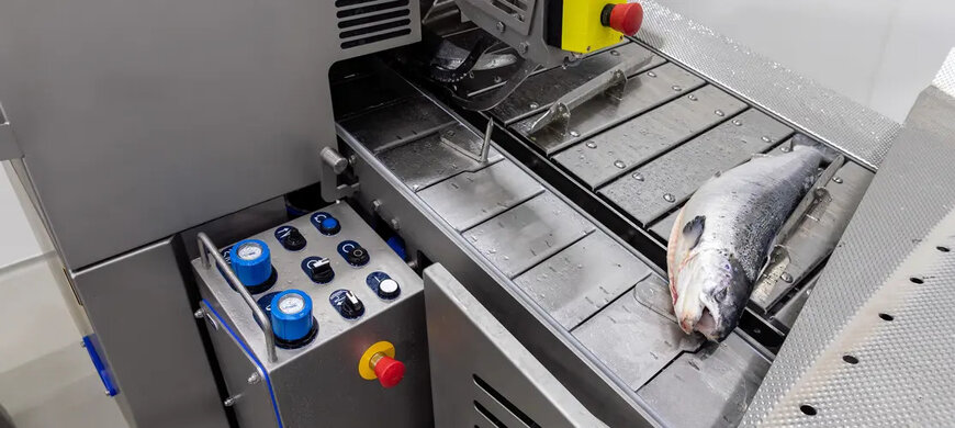 How does a deheader optimize salmon filleting?