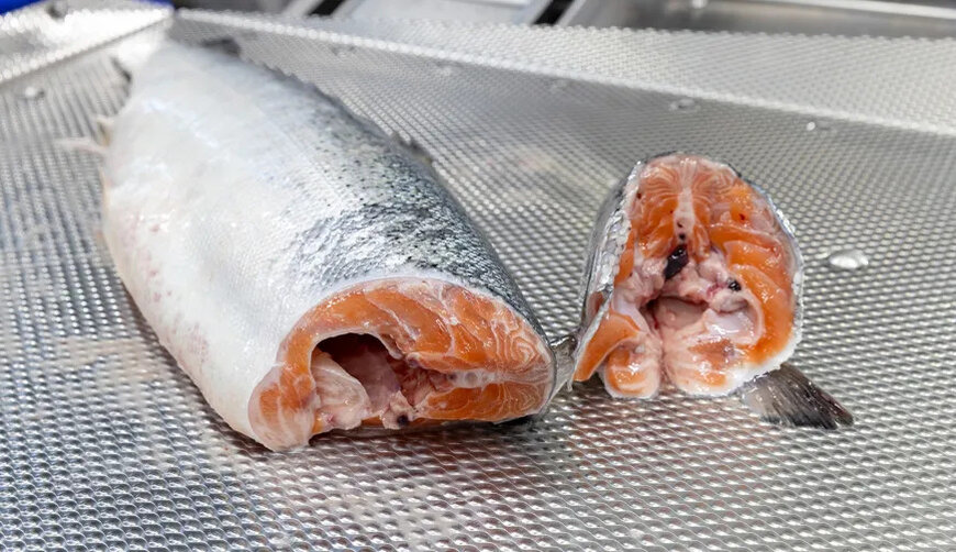 How does a deheader optimize salmon filleting?