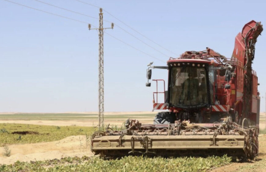 Farmlandgrab reports, that China’s agritech brings water to Egypt’s giant beet sugar factory in Sahara Desert