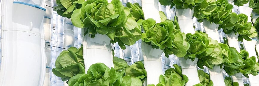 Dürr develops vertical high-tech farm