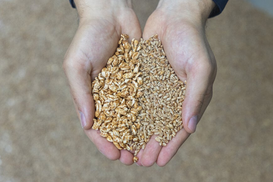 Where grains get their volume – Bühler opens puffing technology center