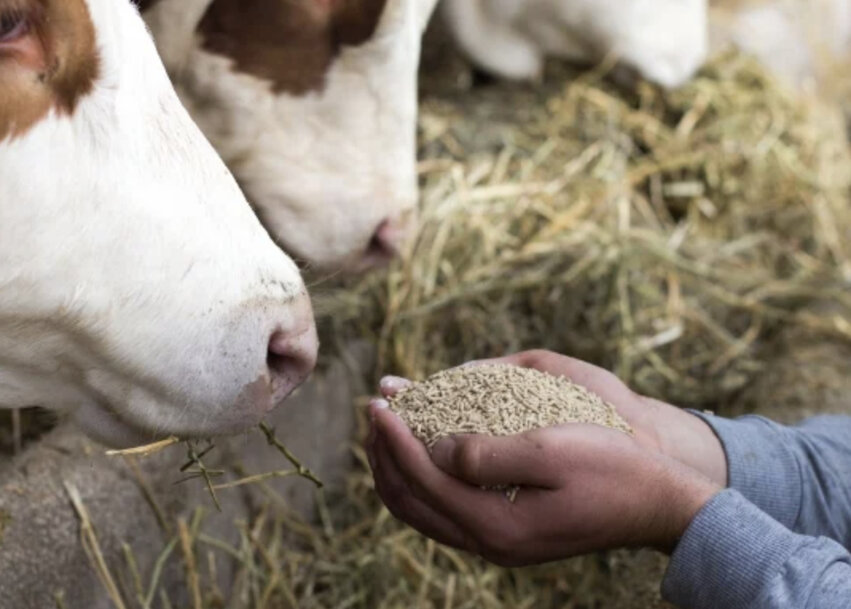 ADM Opens Pioneering R&D Center Dedicated to Animal Health and Wellness