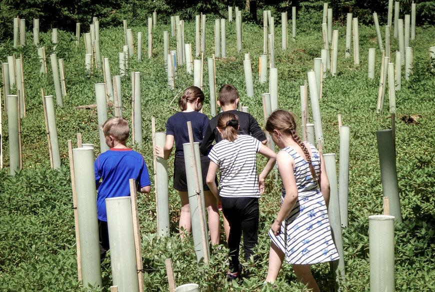 STEYR TRAKTOREN AND AGDW PARTNER TO CULTIVATE CLIMATE AWARENESS IN CHILDREN THROUGH FORESTRY INITIATIVE