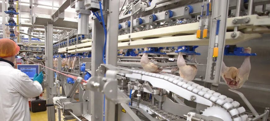Reach the top of anatomic leg processing with Marel