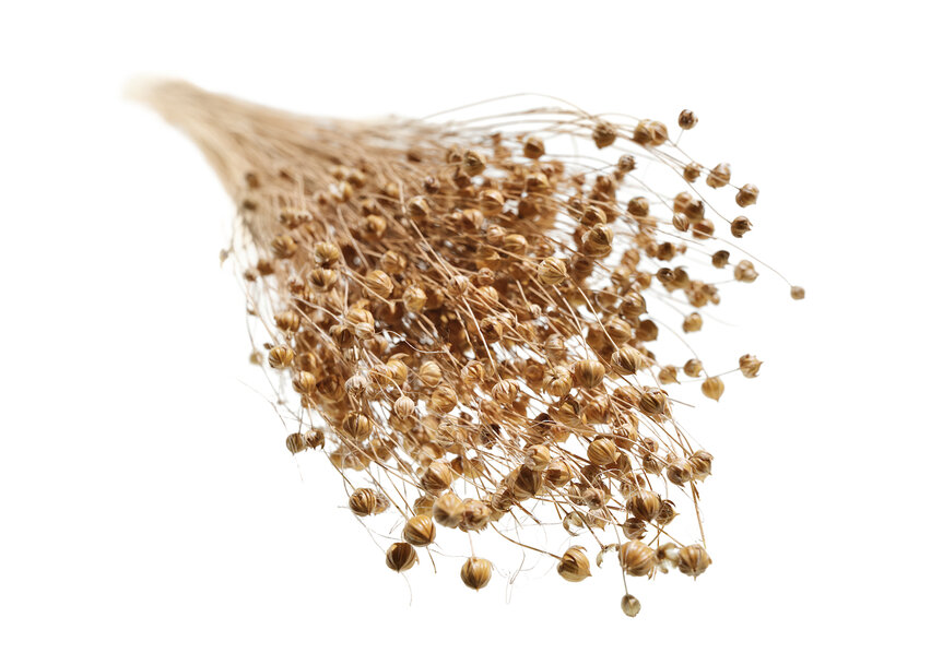 Il BMW Group raggiunge un grande traguardo con l&rsquo;uso di compositi a base di fibre naturali