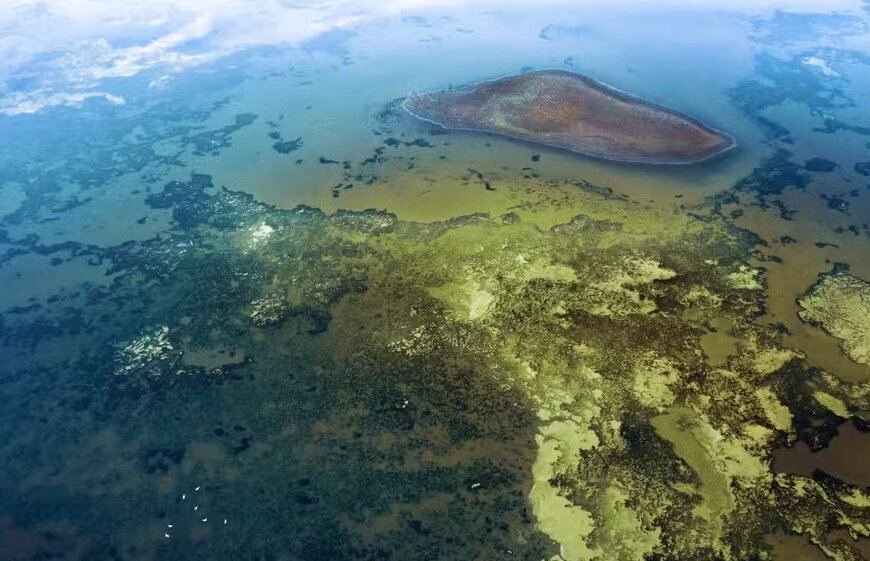 LG Sonic Algal Bloom Prevention for Lakes