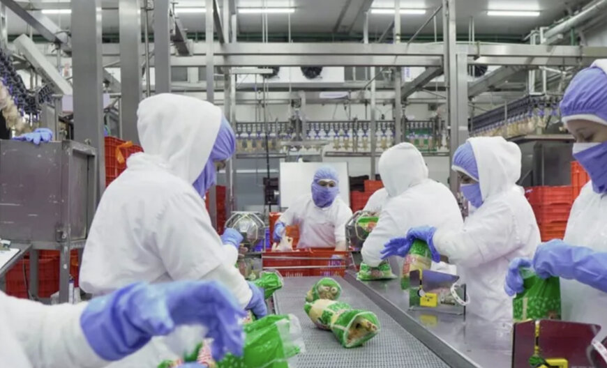 IRIS and SmartWeigher by Marel are implemented in Salvadoran plant