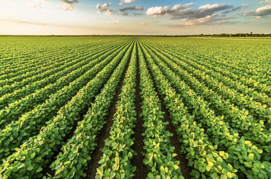 FMC Corporation expands novel fluindapyr fungicide technology to EMEA region