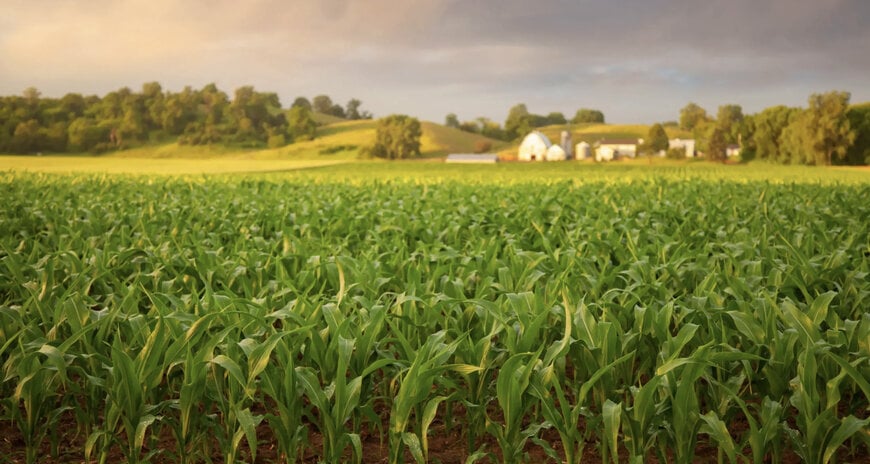 Regrow Partners with Embrapa to Advance Climate-Smart Agriculture in Brazil